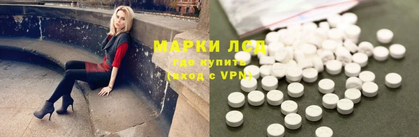 PSILOCYBIN Ельня