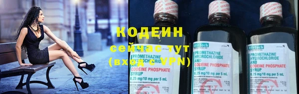 PSILOCYBIN Ельня