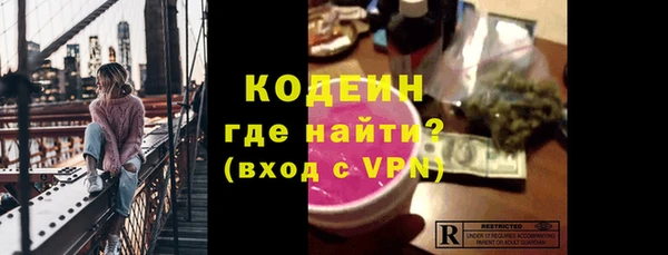 PSILOCYBIN Ельня