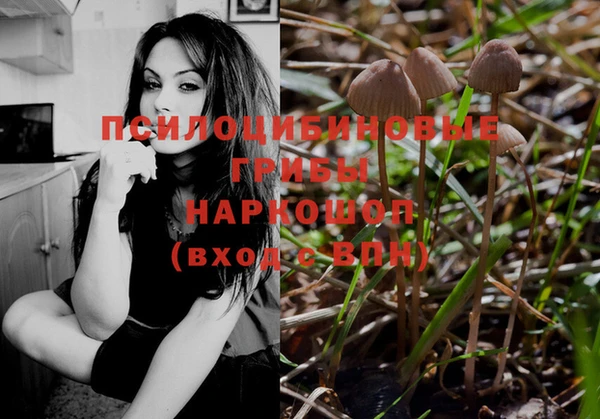 PSILOCYBIN Ельня