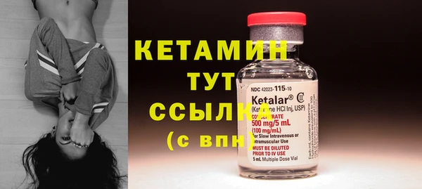 PSILOCYBIN Ельня