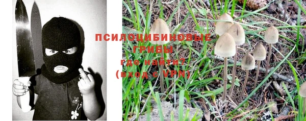 гашиш Елизово