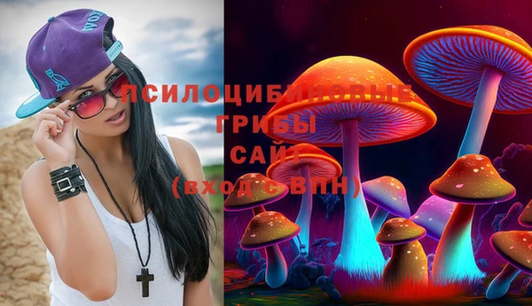 PSILOCYBIN Ельня