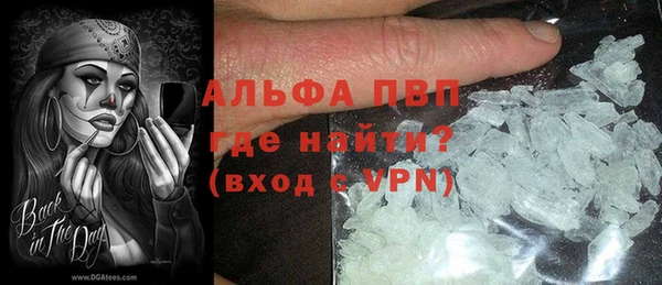PSILOCYBIN Ельня