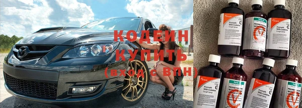 PSILOCYBIN Ельня
