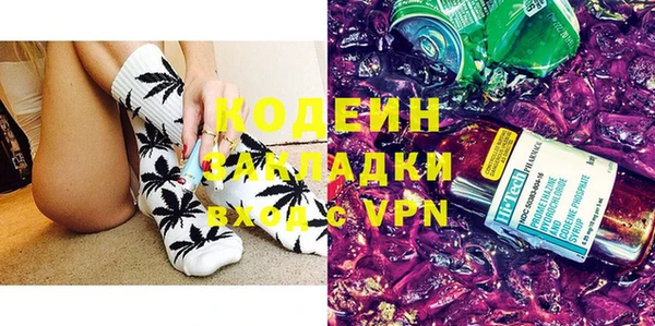 PSILOCYBIN Ельня