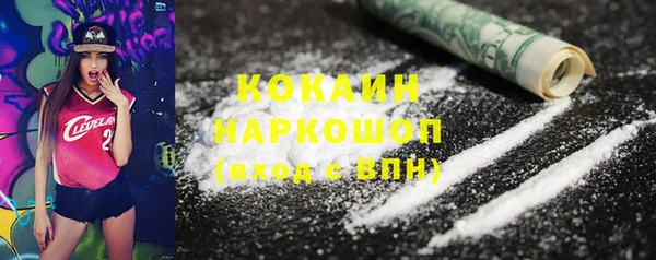 PSILOCYBIN Ельня