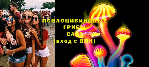 PSILOCYBIN Ельня